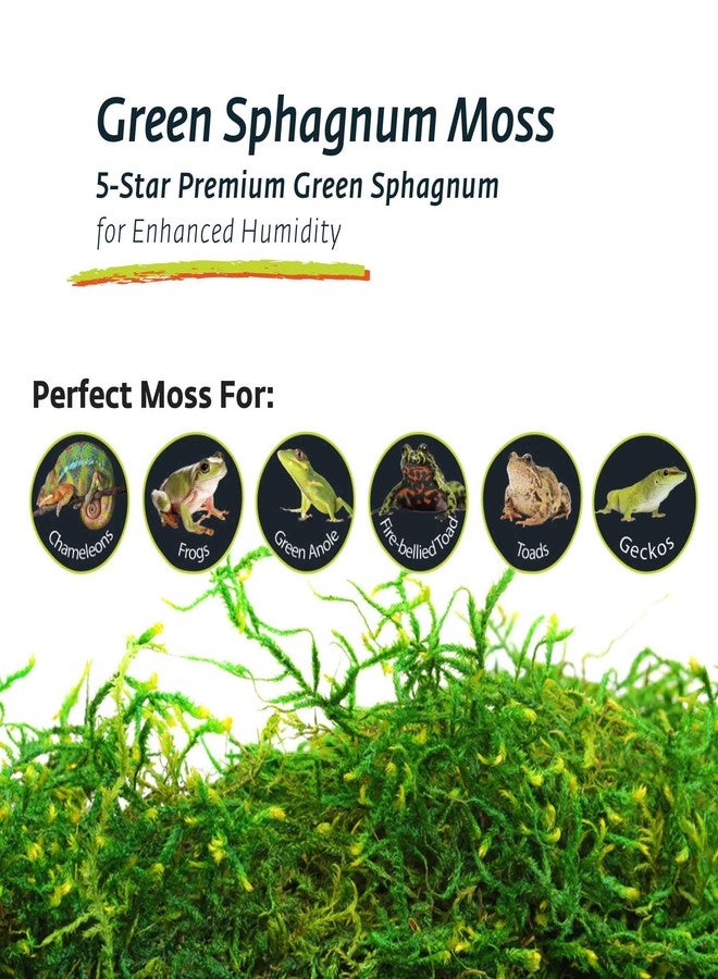 Galapagos (05211 Terrarium Sphagnum Moss, Fresh Green, 150in3 Header Bag - Image 2